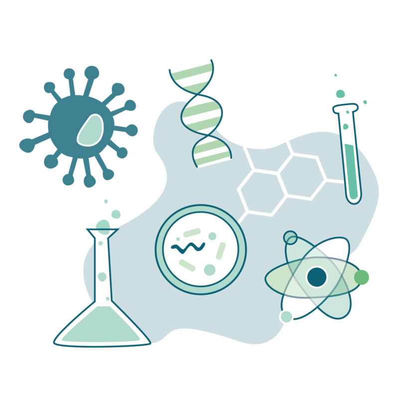 Naturwissenschaften Mach MI(N)T